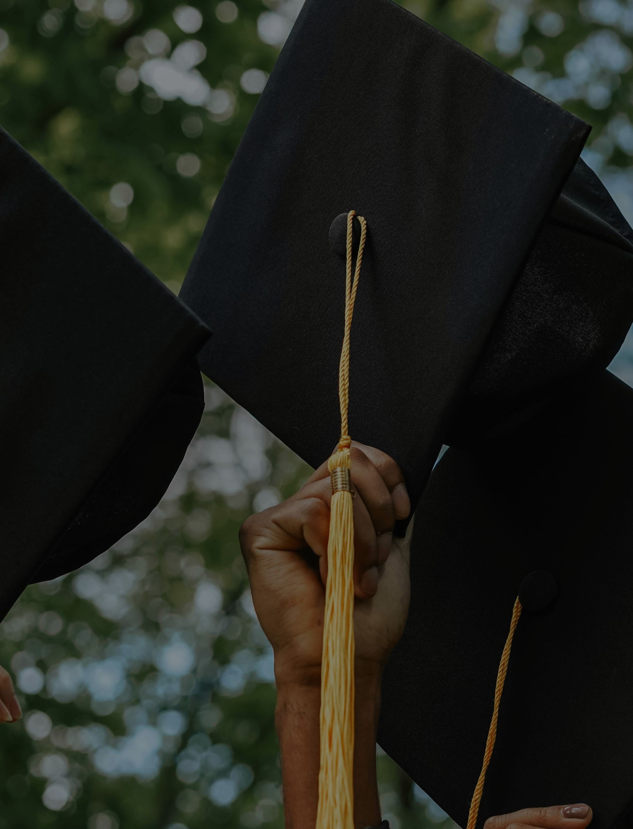 Error to load the Pic